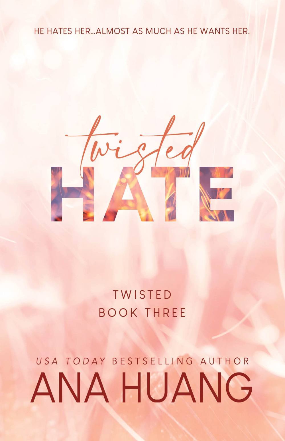 Twisted Hate (book 3)