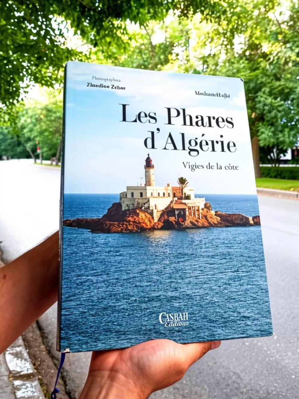 Les Phares d’Algérie, Vigies de la côte